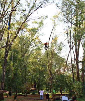 bungy éjection dans les arbres 